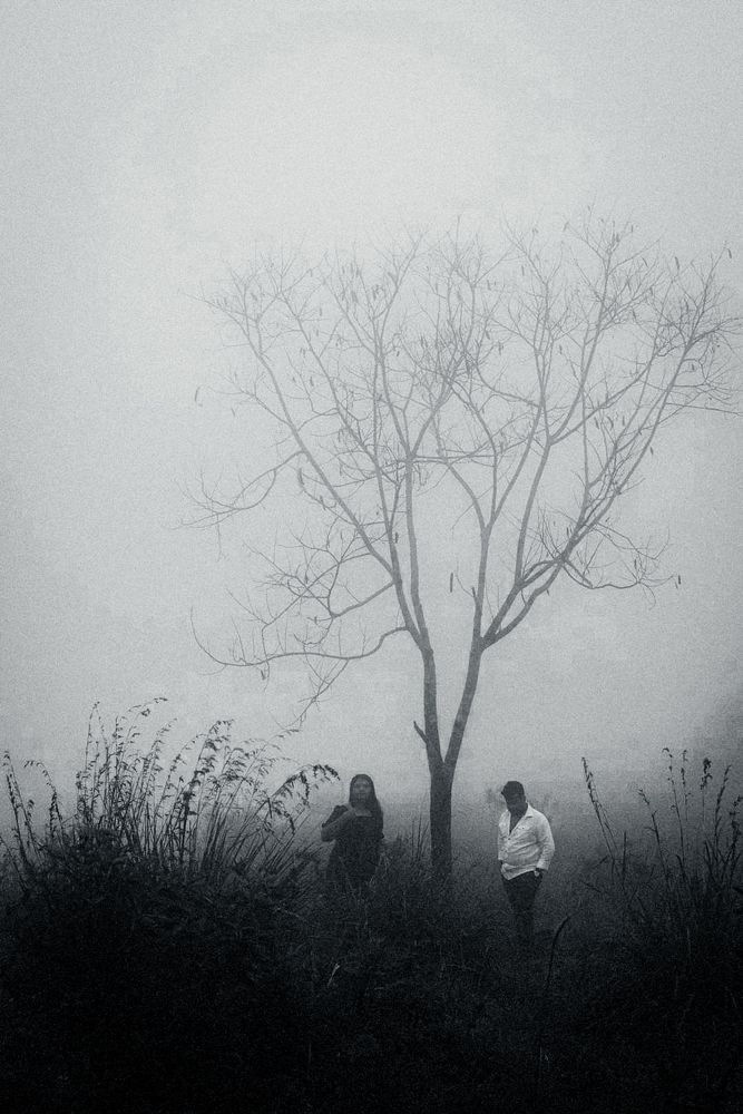 Photograph by Omar Ashen