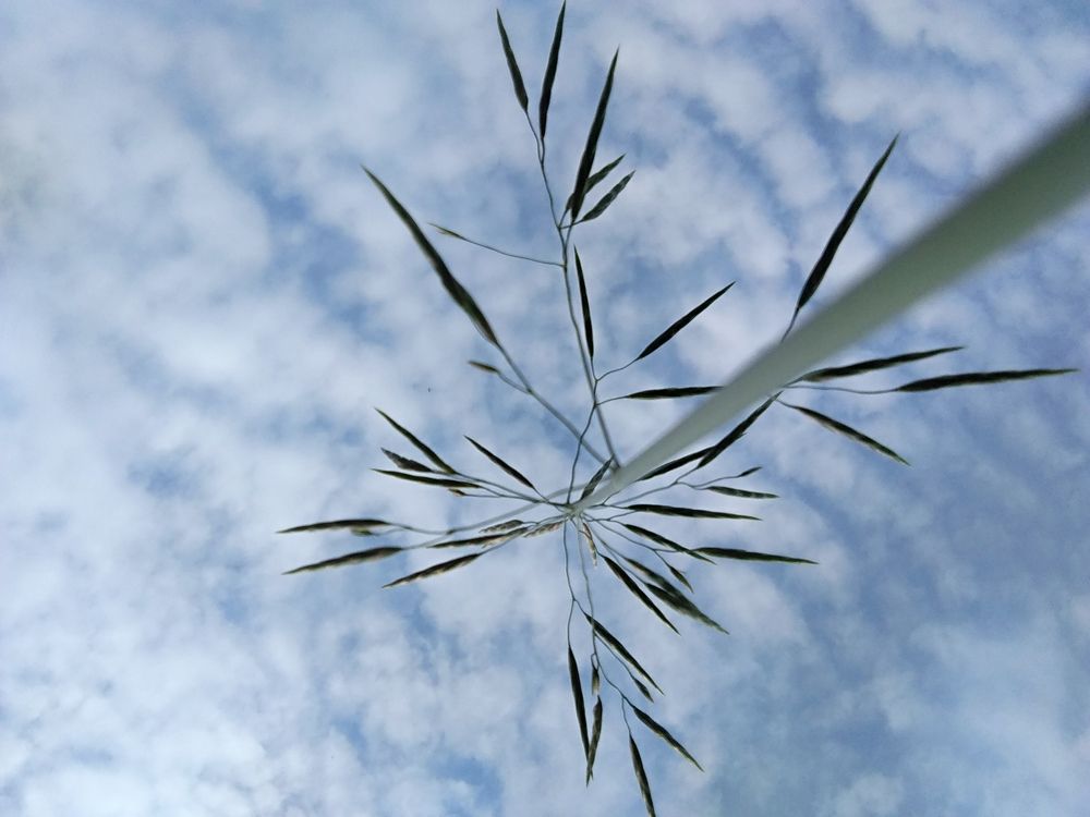 А вот это - моя любимая фотография! И никакие букеты с ней не сравнятся!)