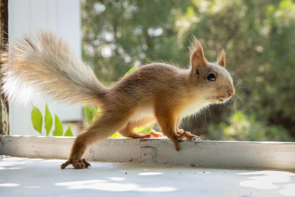 Photograph by Олег Мамонтов