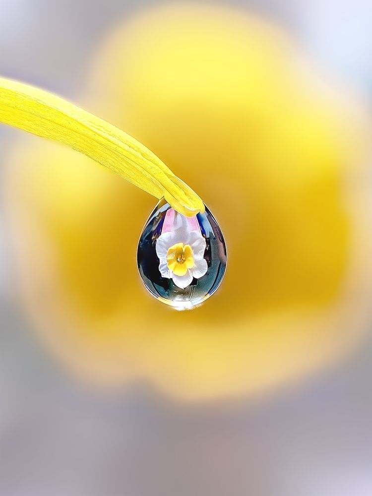 Photograph by Jacob Ng