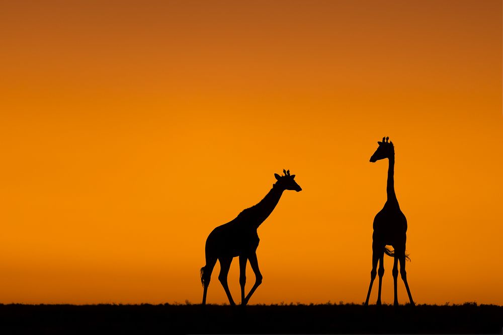 Early morning discussions