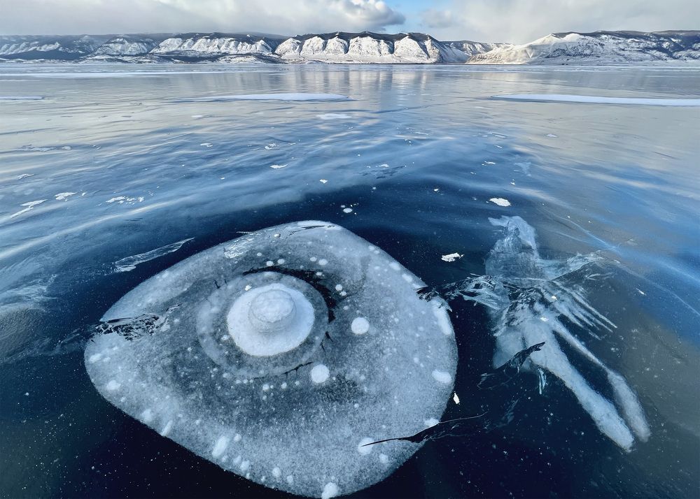 Фотография автора Ольга Белоусова