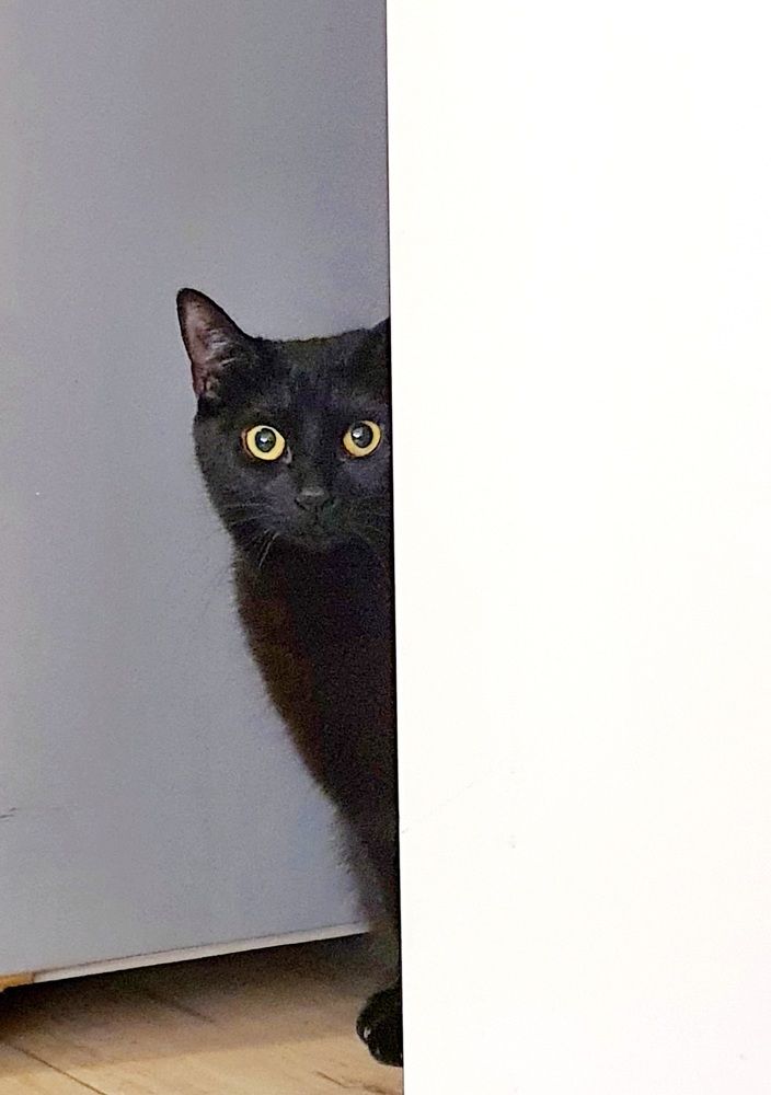 Photograph by Ghazal Ardeshirzadeh