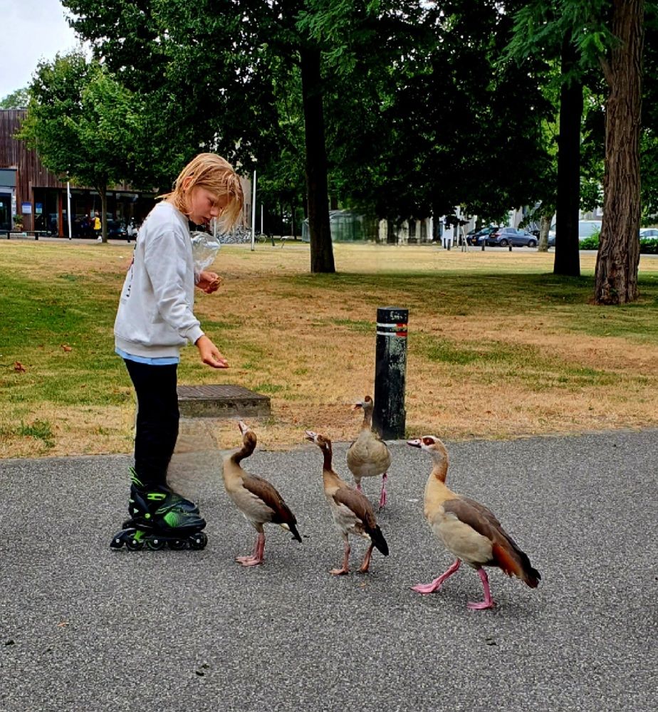 Photograph by Ghazal Ardeshirzadeh