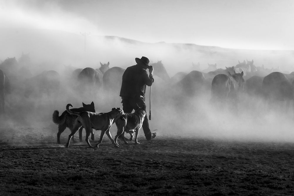 Photograph by Banu Nazikcan