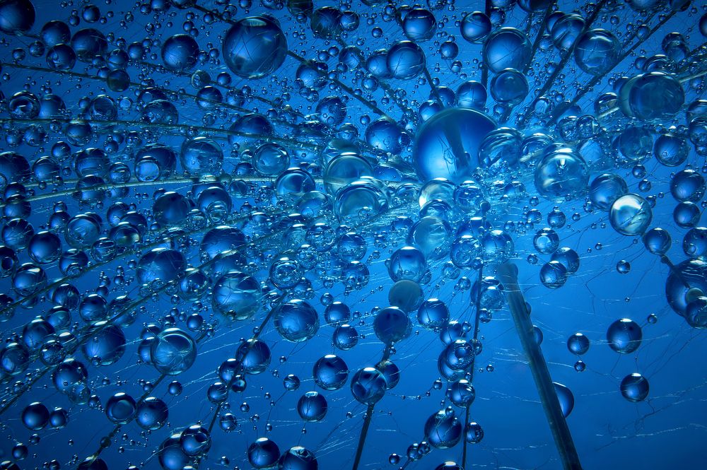 Фотография автора Boris Bekelman