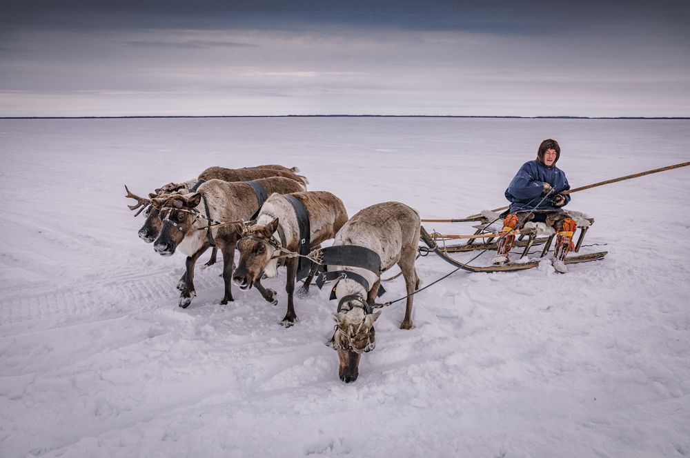 Photograph by Евгений Кужилев
