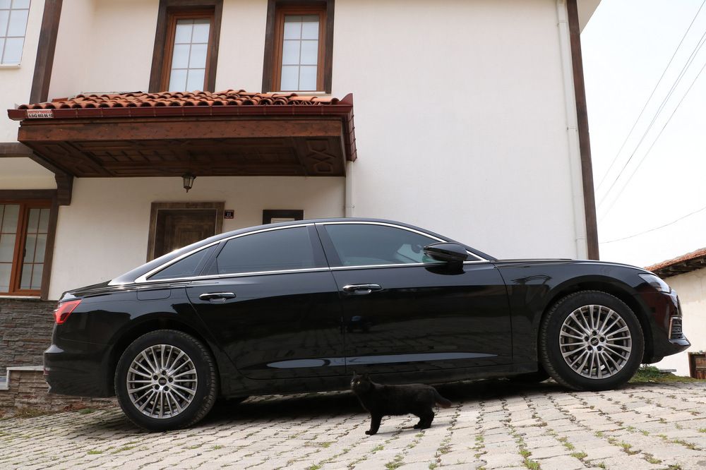 Photograph by Cengiz Yalcin