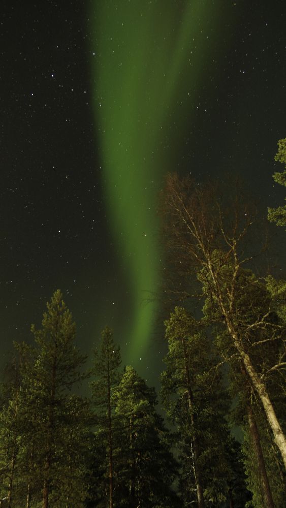 Photograph by Alexandre de Pommereau