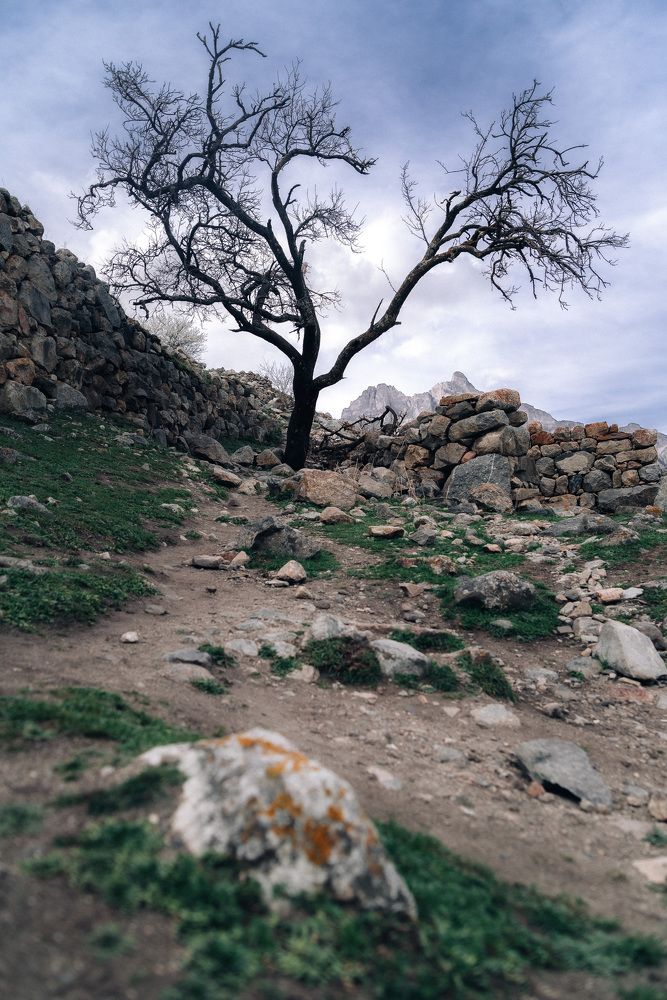 Photograph by Андрей Аксёнов