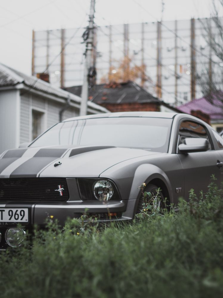 Photograph by Максим Пономарев