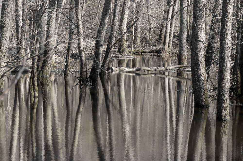 Photograph by Вячеслав