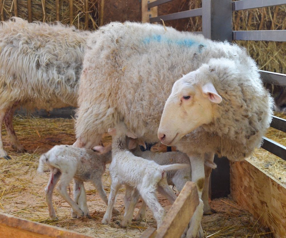 Photograph by Скоблина Юлия