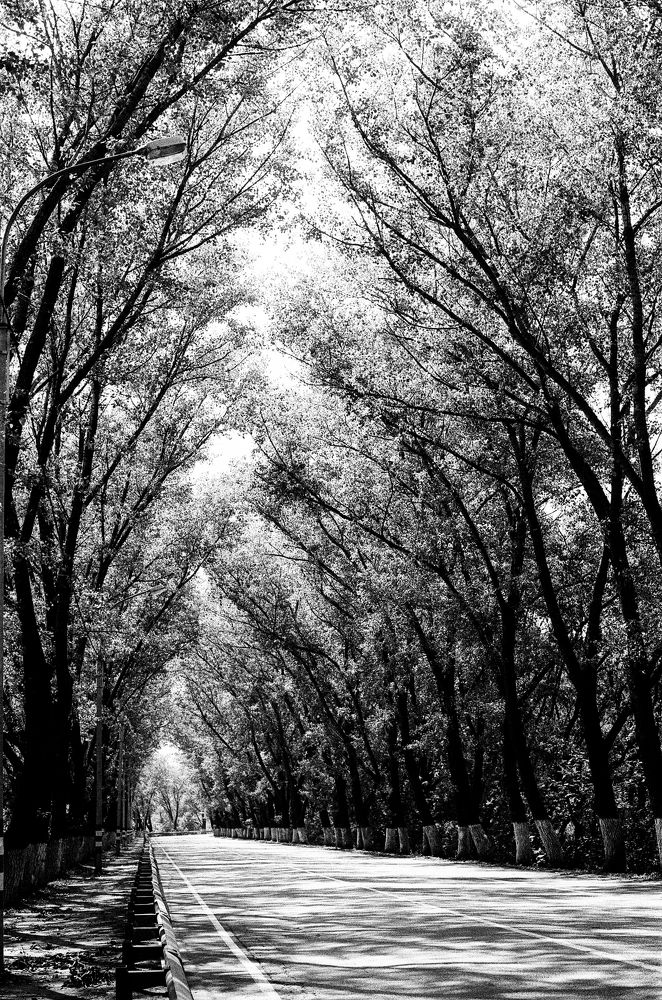 Photograph by Федотова Анна