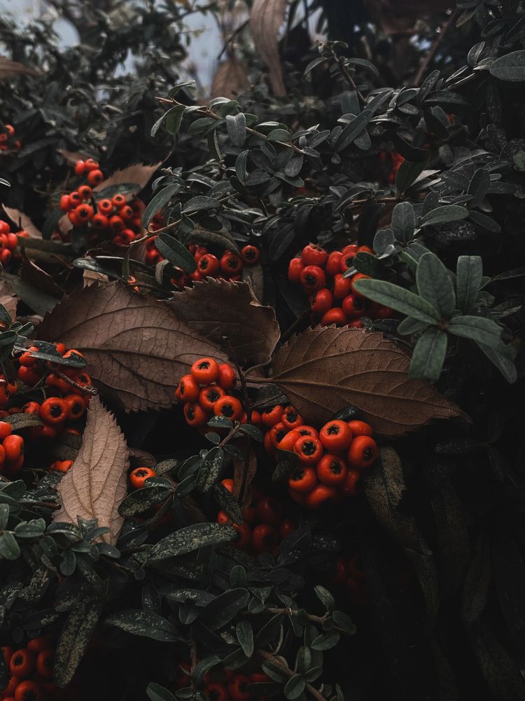 Photograph by Konstantin Goncharov