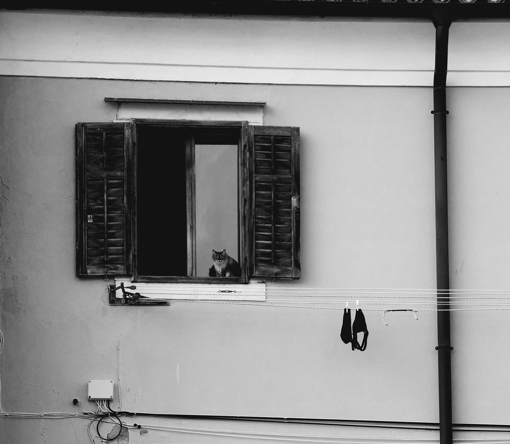 Photograph by Eduards Spila