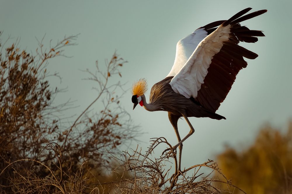 Photograph by Sanja Ristivojevic