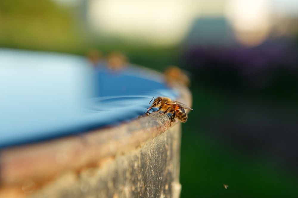 Photograph by Сергей