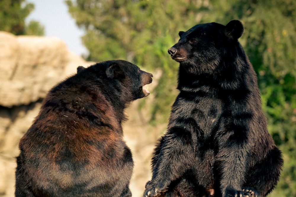 Photograph by Sanja Ristivojevic