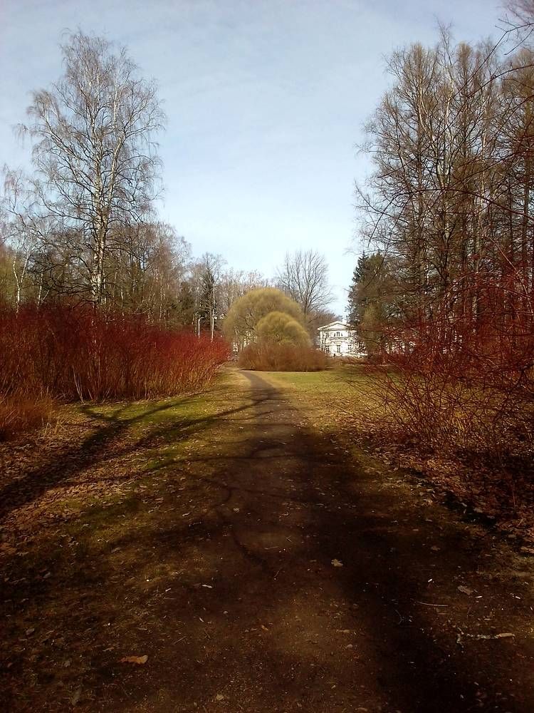 Photograph by Ольга Коркина