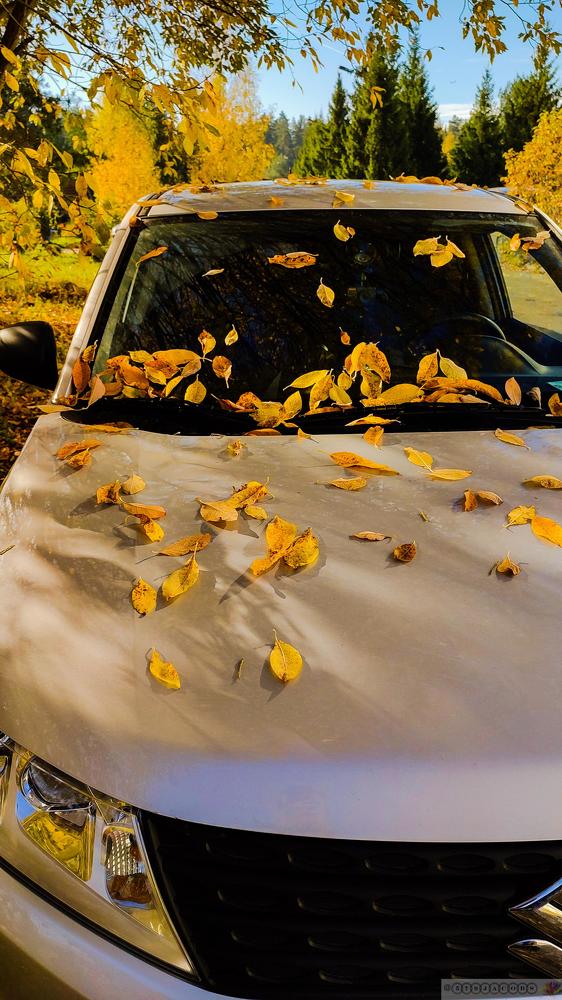 Photograph by Николай Яковлев