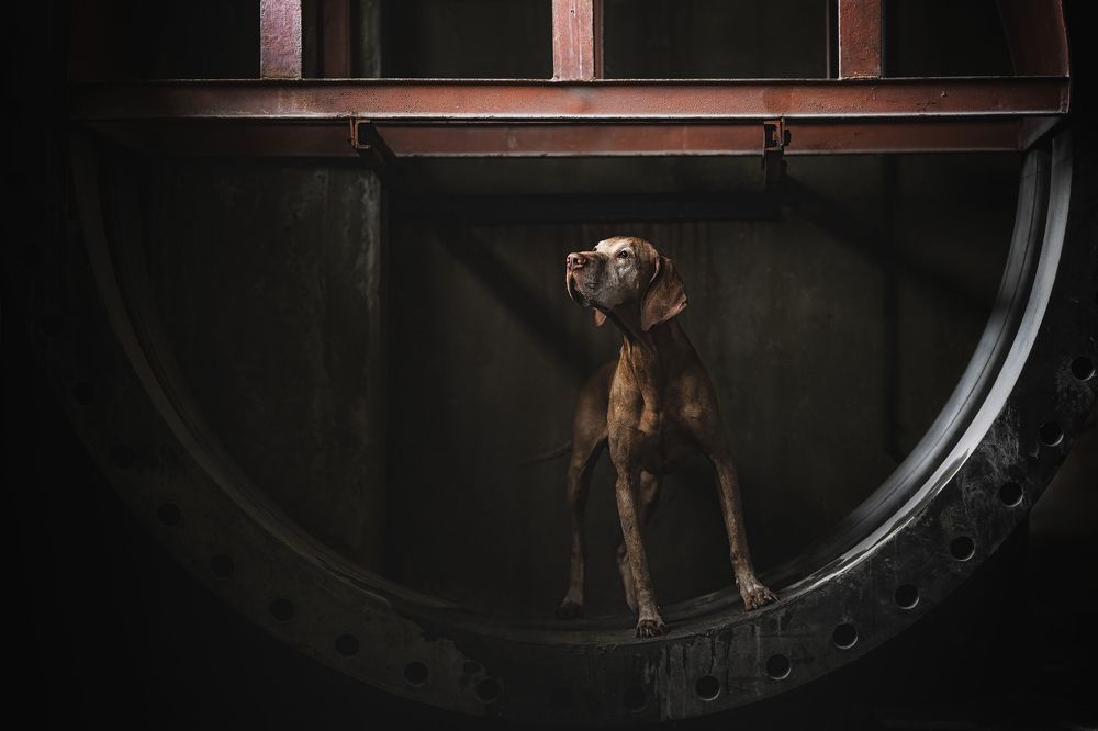 Photograph by Elke Braet