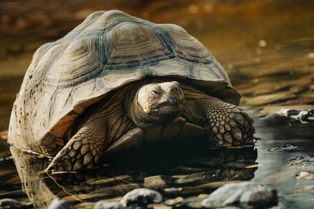 Photograph by Sanja Ristivojevic