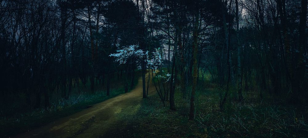 Photograph by Владимир Михайлов