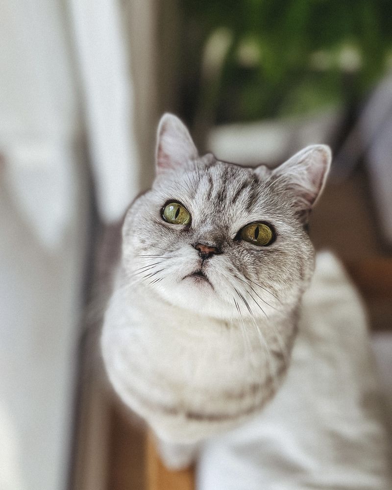 Photograph by Юлия Новикова