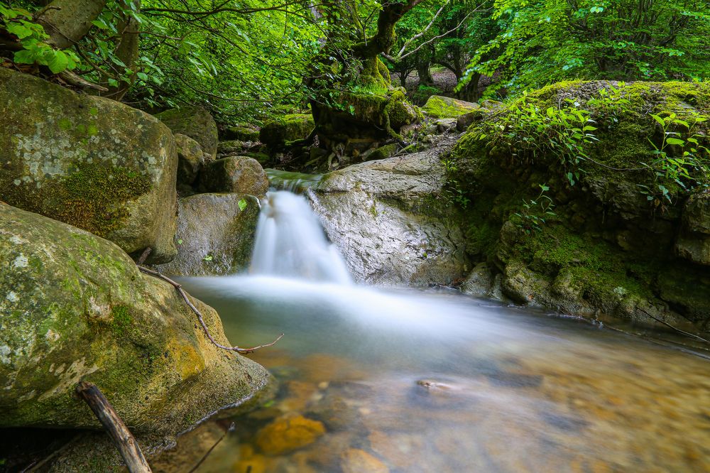 Photograph by Mohammadreza Majlesifar