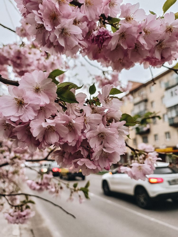 Photograph by Ира Талапчук
