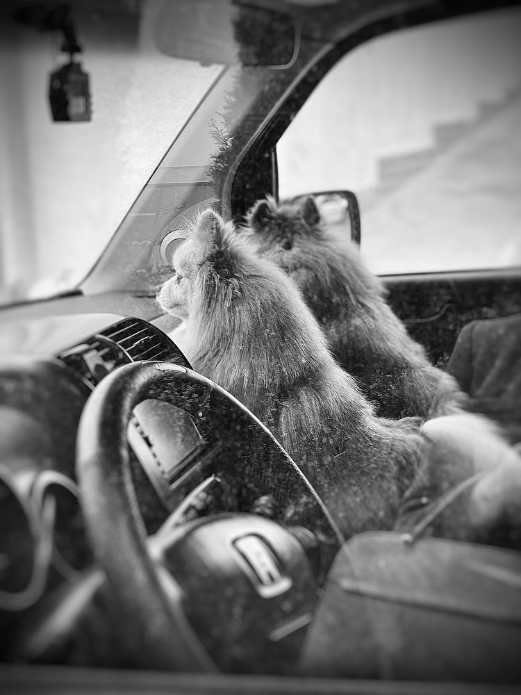 Улыбаемся и машем