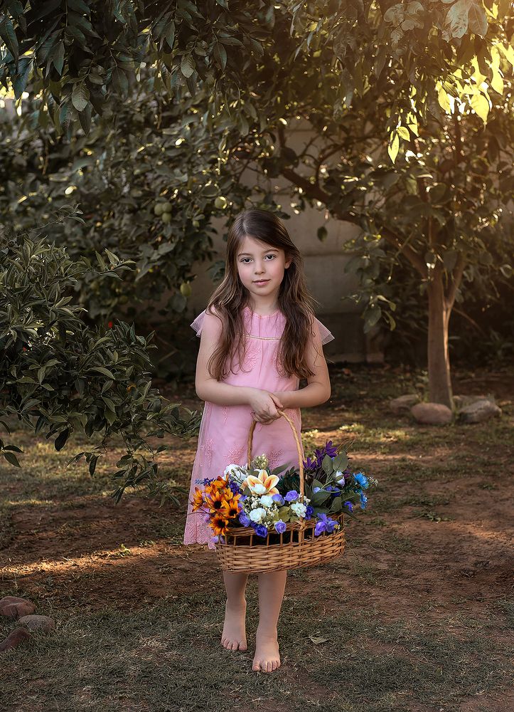 Photograph by Mil Fotografias