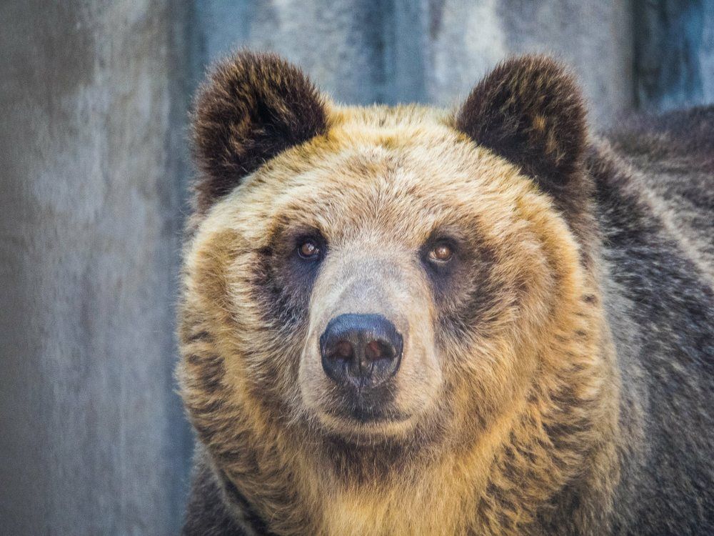 Photograph by Junya Higashi