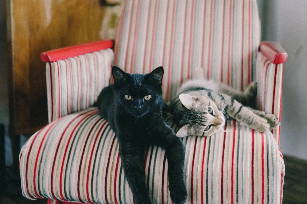 Photograph by Сергей Нуштайкин