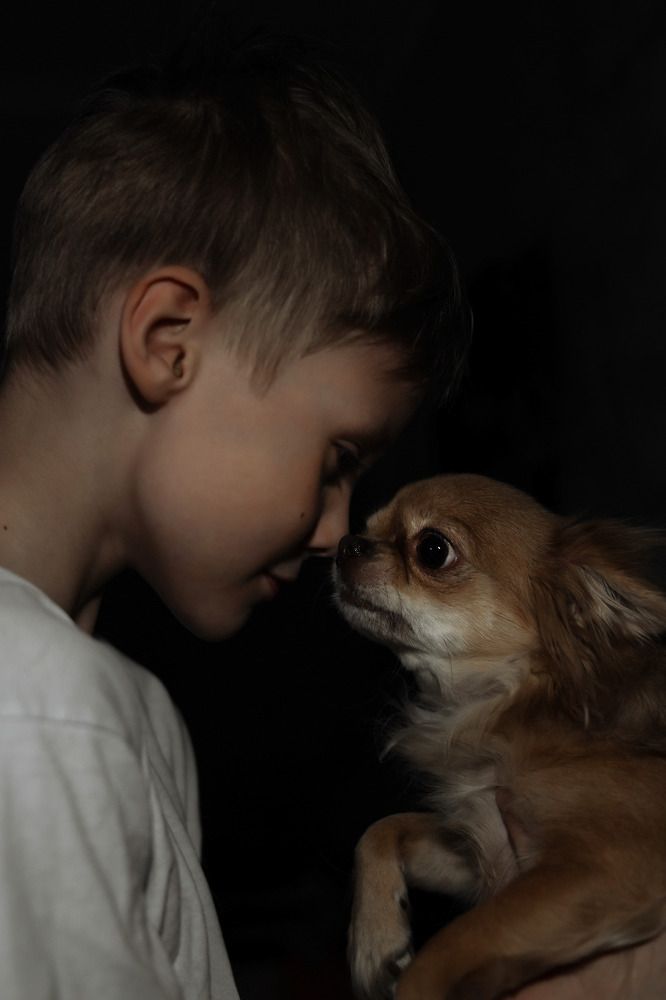 Photograph by Светлана Чепенко