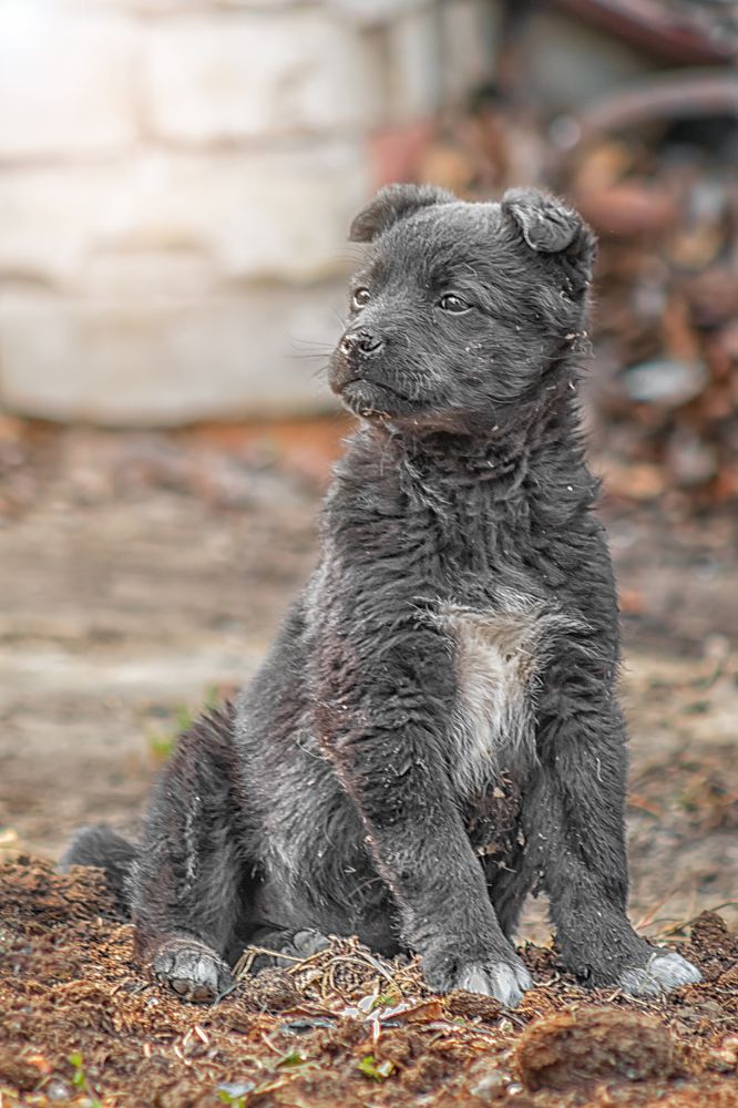 юный охранник