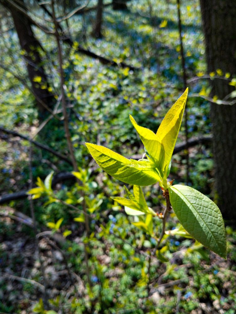 Photograph by Юлия Волгина