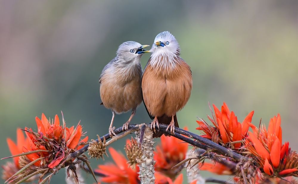 Photograph by Md Rezwan