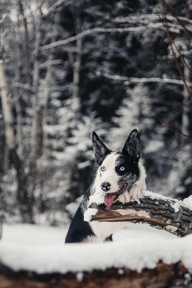 Фотография автора Вика Сердюкова