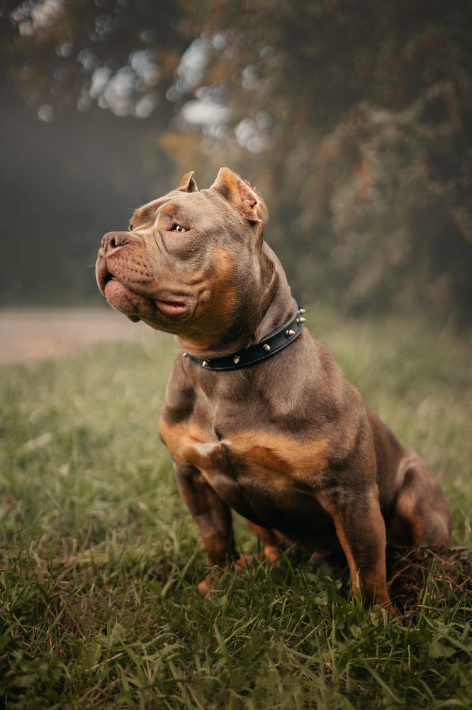 Фотография автора Вика Сердюкова