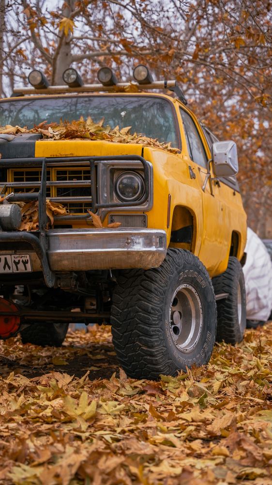 Фотография автора Mohammad hassan Taheri