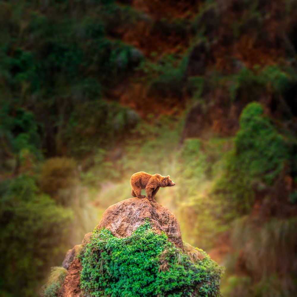 Photograph by Cayetana Saiz