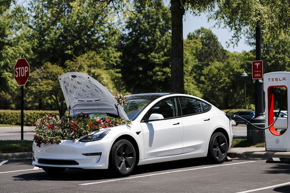 Photograph by Anastasiia Terentieva