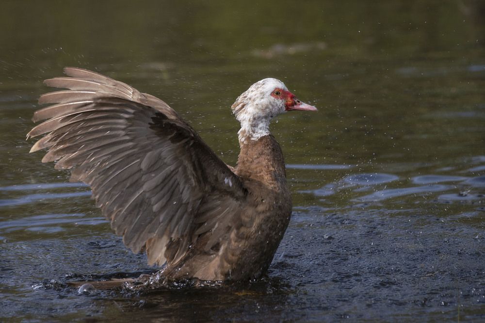 Фотография автора Галина