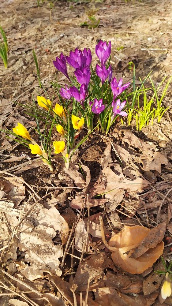 Photograph by Ольга Горох