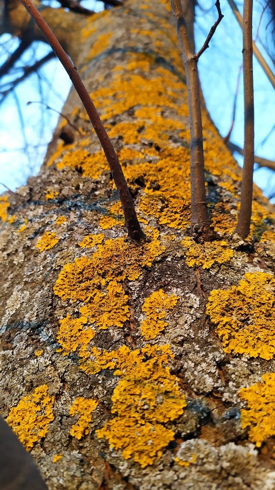 Photograph by Ольга Горох