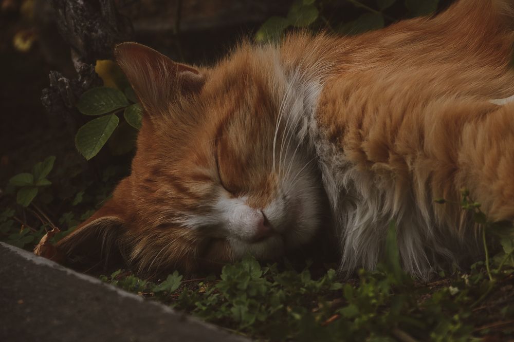 Photograph by Sarah(Sudabeh) Pouryousef