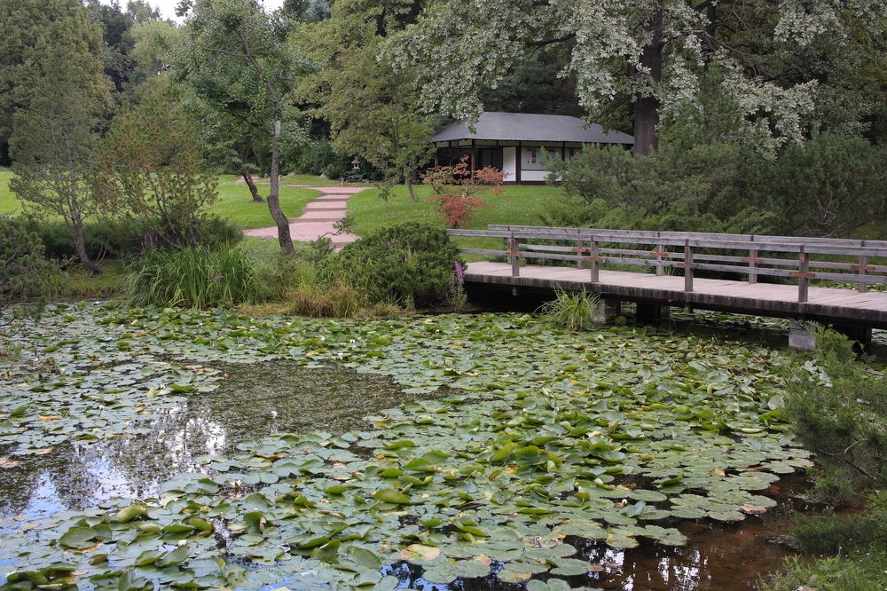 Photograph by Сергей Щербаков