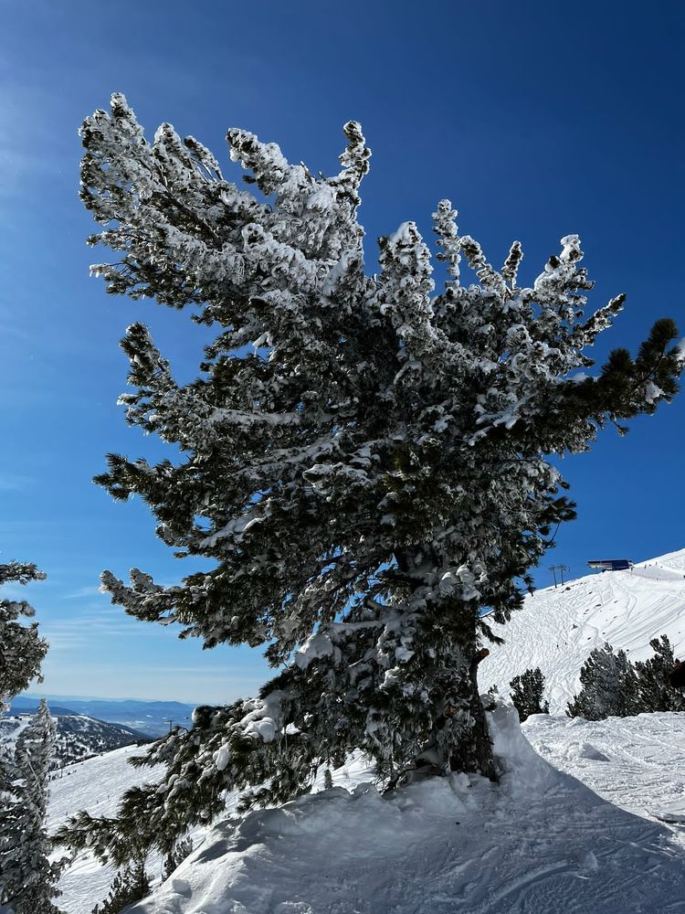 Photograph by Елена Каширина